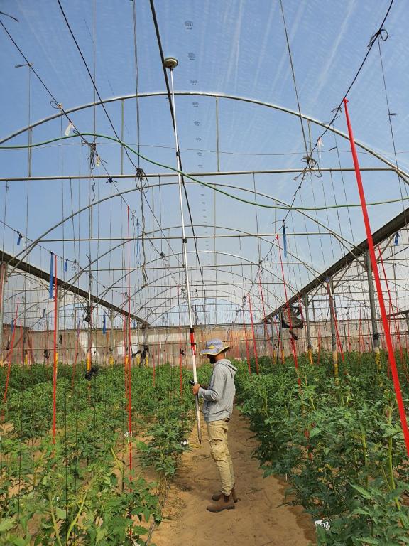 אבו צאפי מדידות אבו צאפי מדידות