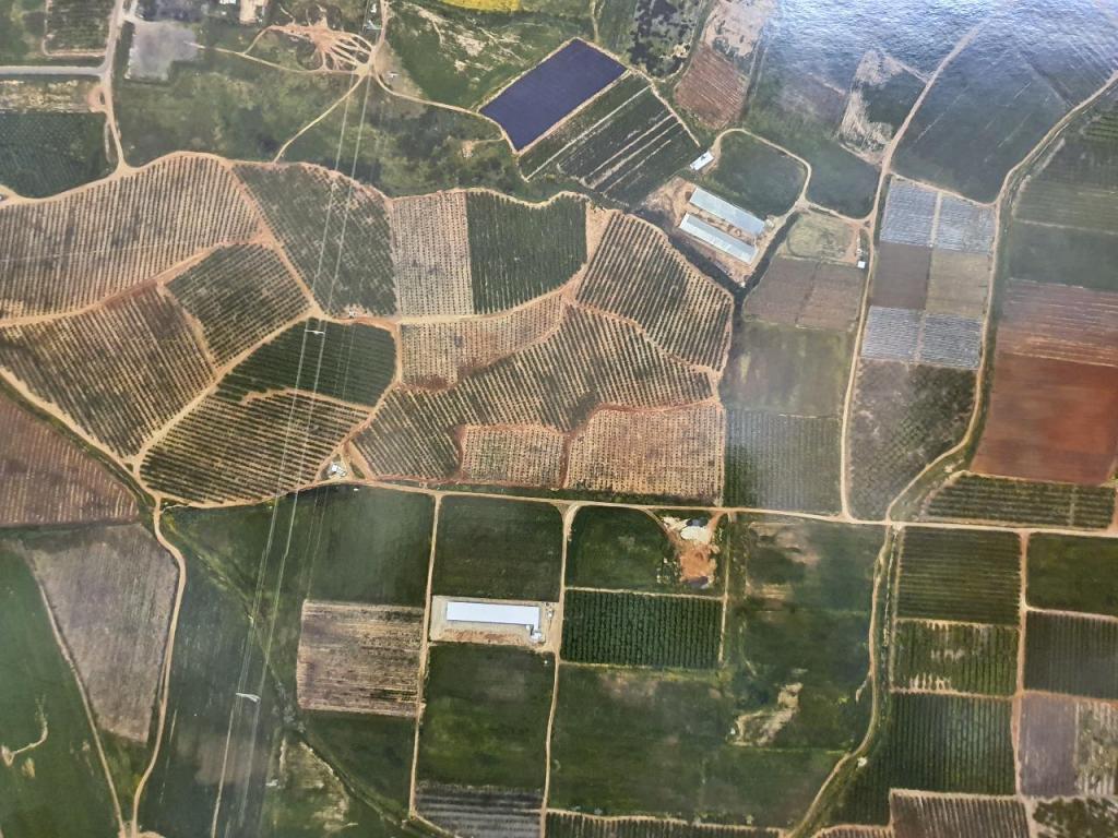 אבו צאפי מדידות אבו צאפי מדידות