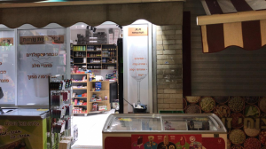 דפוס סאלי