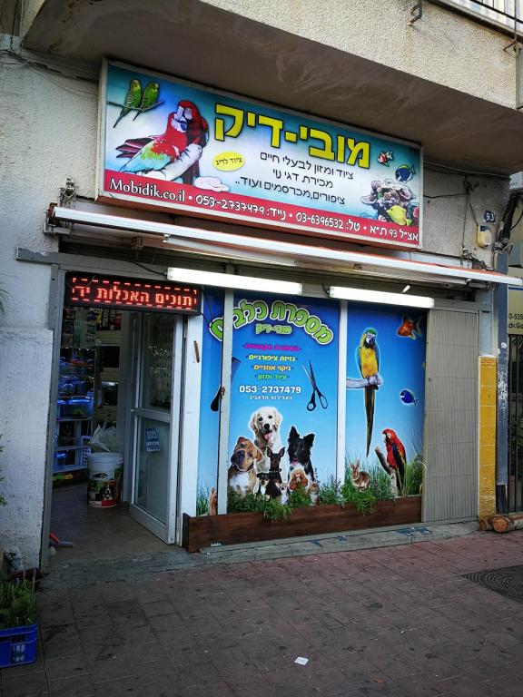 מובי דיק מובי דיק