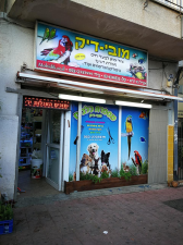 מובי דיק
