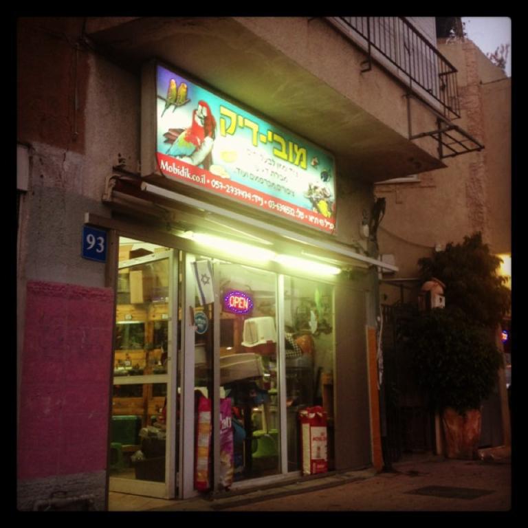 מובי דיק מובי דיק