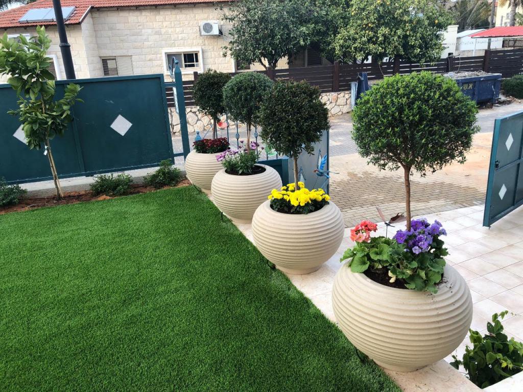 גינון רפי אביב גינון רפי אביב