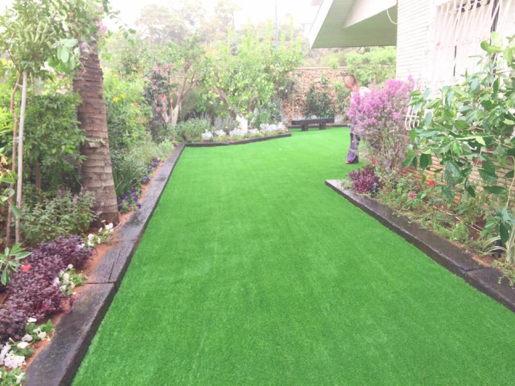 גינון רפי אביב גינון רפי אביב