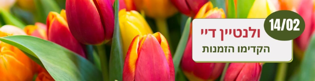 פרחים לבנים פרחים לבנים