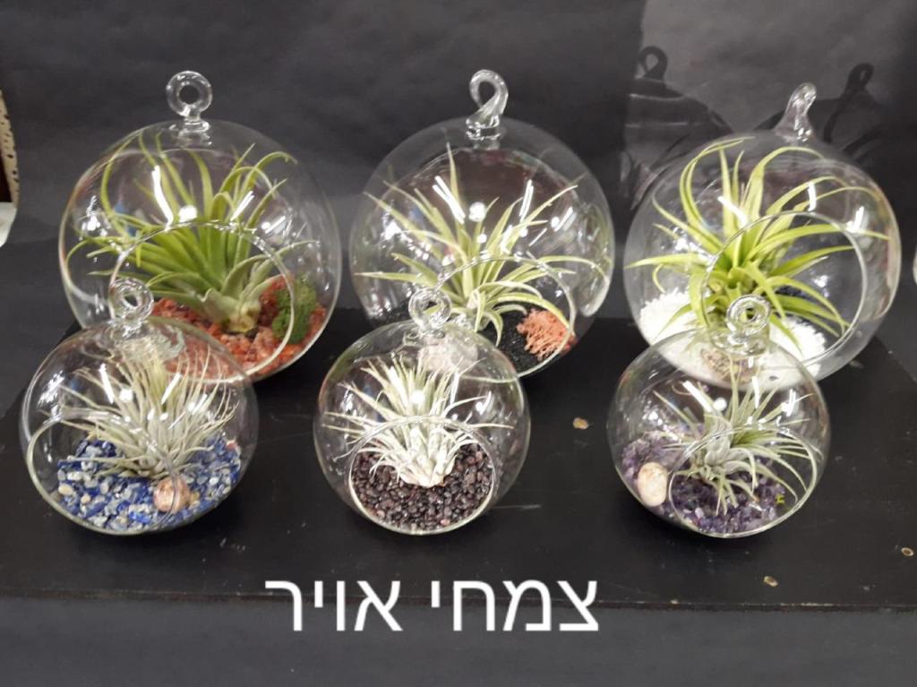 סגנון פרחים וצמחי נוי סגנון פרחים וצמחי נוי