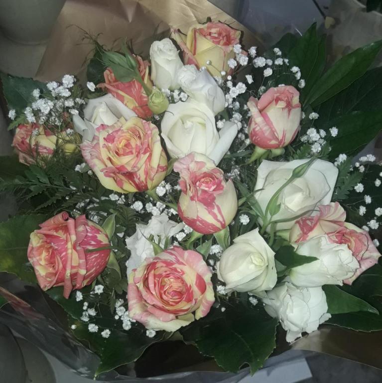 סגנון פרחים וצמחי נוי סגנון פרחים וצמחי נוי