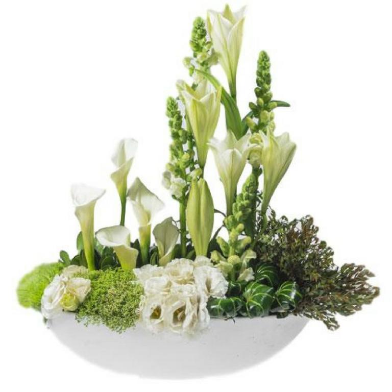 פרחי שם הורד פרחי שם הורד