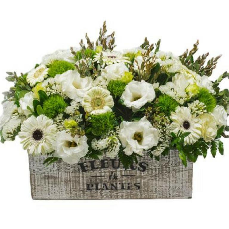 פרחי שם הורד פרחי שם הורד