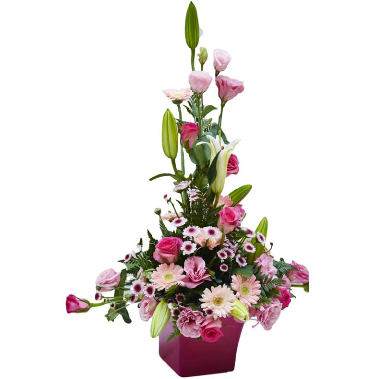 פרחי שם הורד פרחי שם הורד