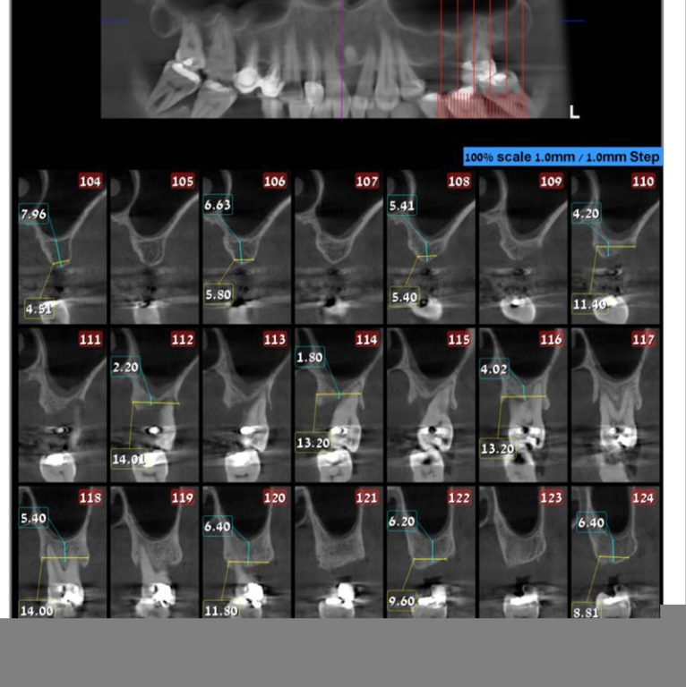 ד"ר פארס כמאל ד"ר פארס כמאל