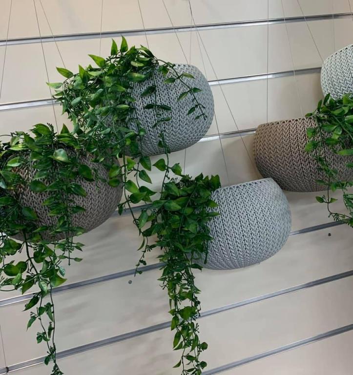 אנרג'י יבוא שיווק אנרג'י יבוא שיווק