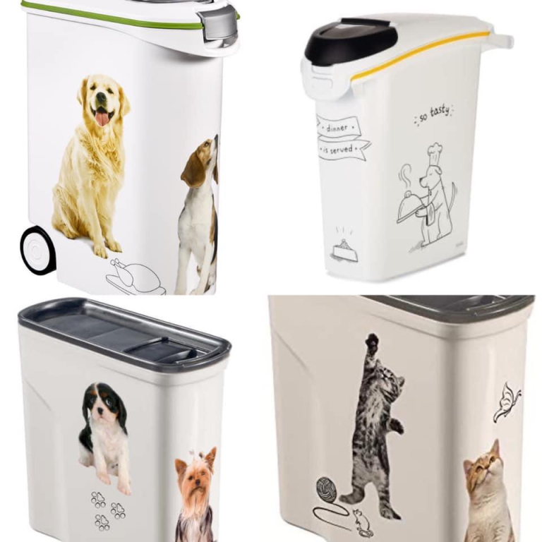 אנרג'י יבוא שיווק אנרג'י יבוא שיווק