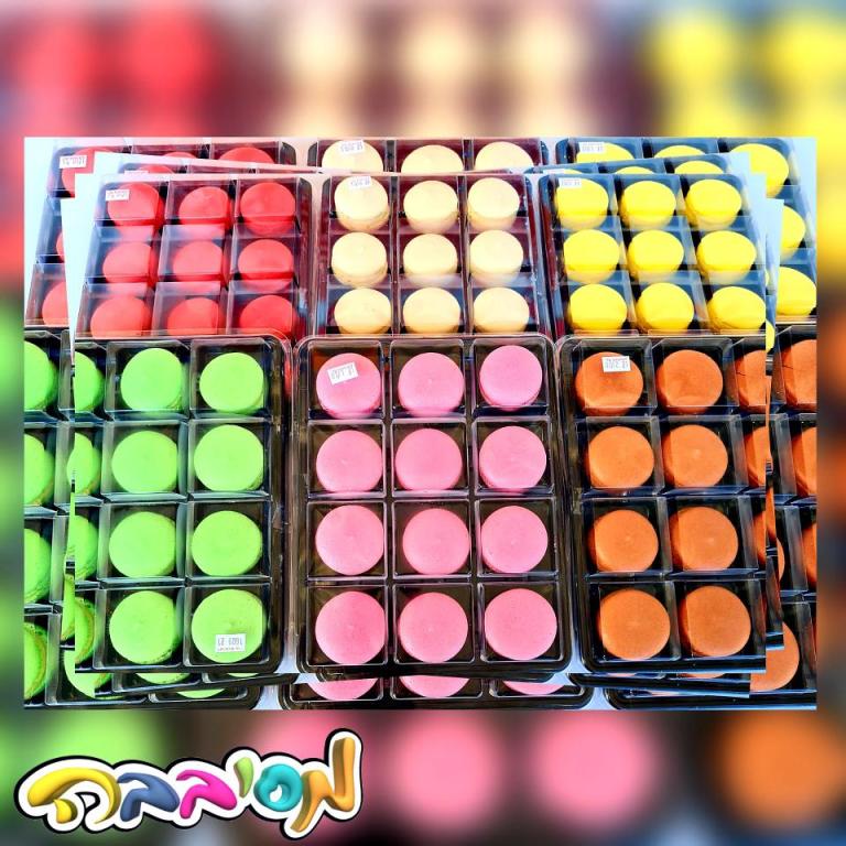 מסיבבה מסיבבה