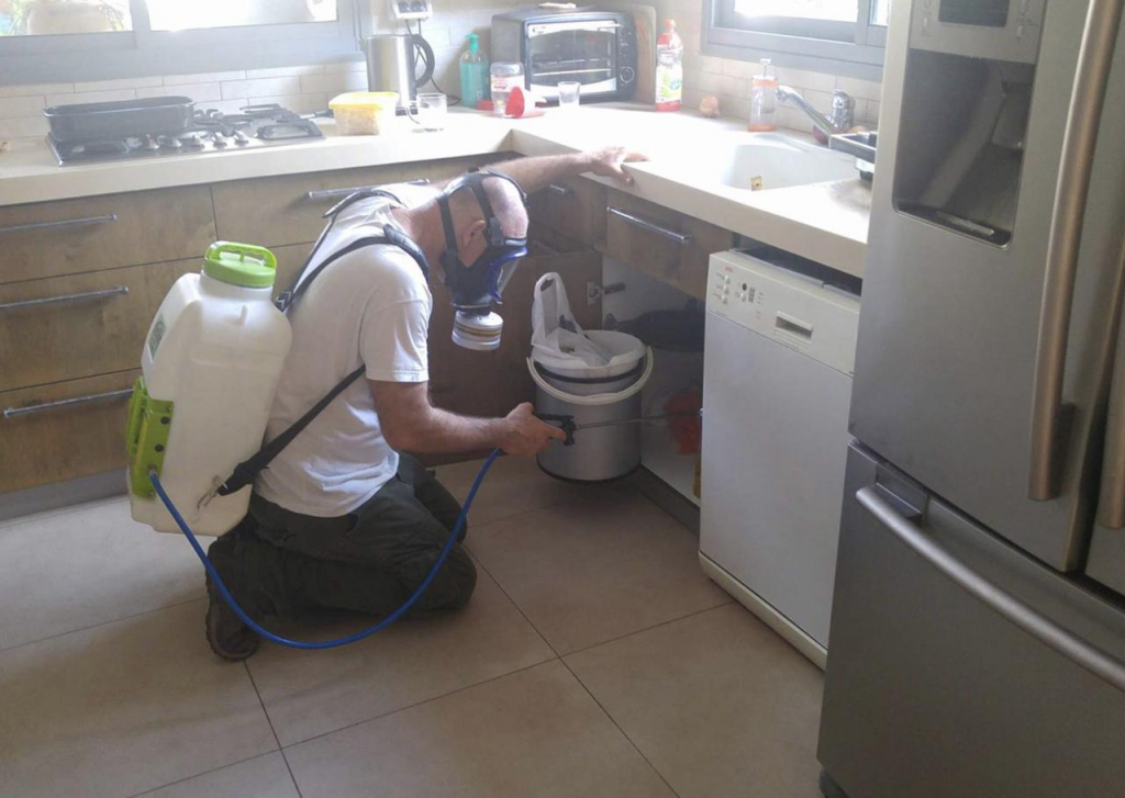 באג מן באג מן