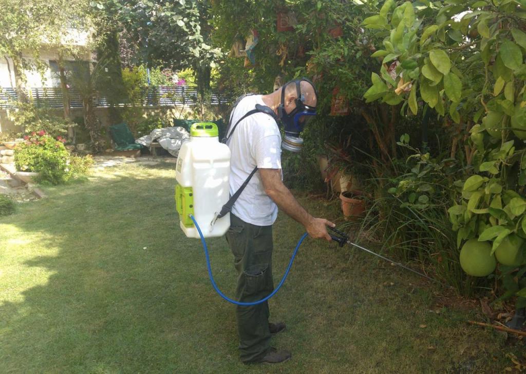 באג מן באג מן