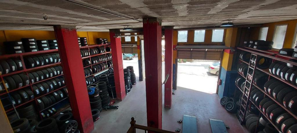 הצמיג האמין הצמיג האמין