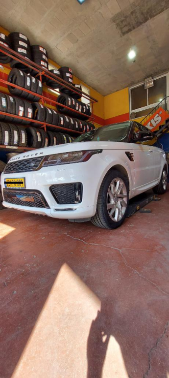 הצמיג האמין הצמיג האמין