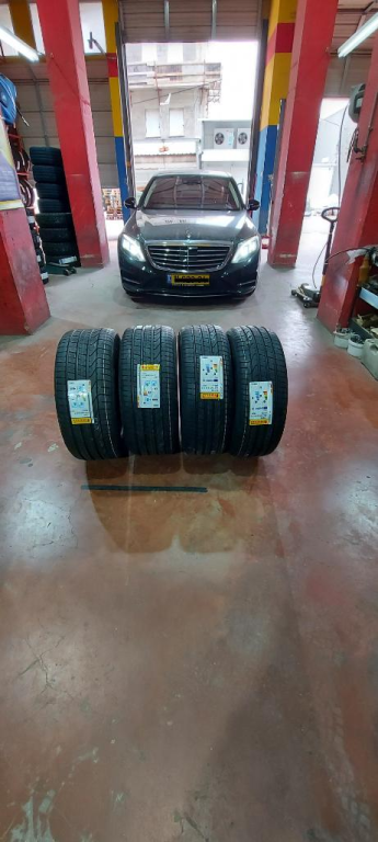 הצמיג האמין הצמיג האמין