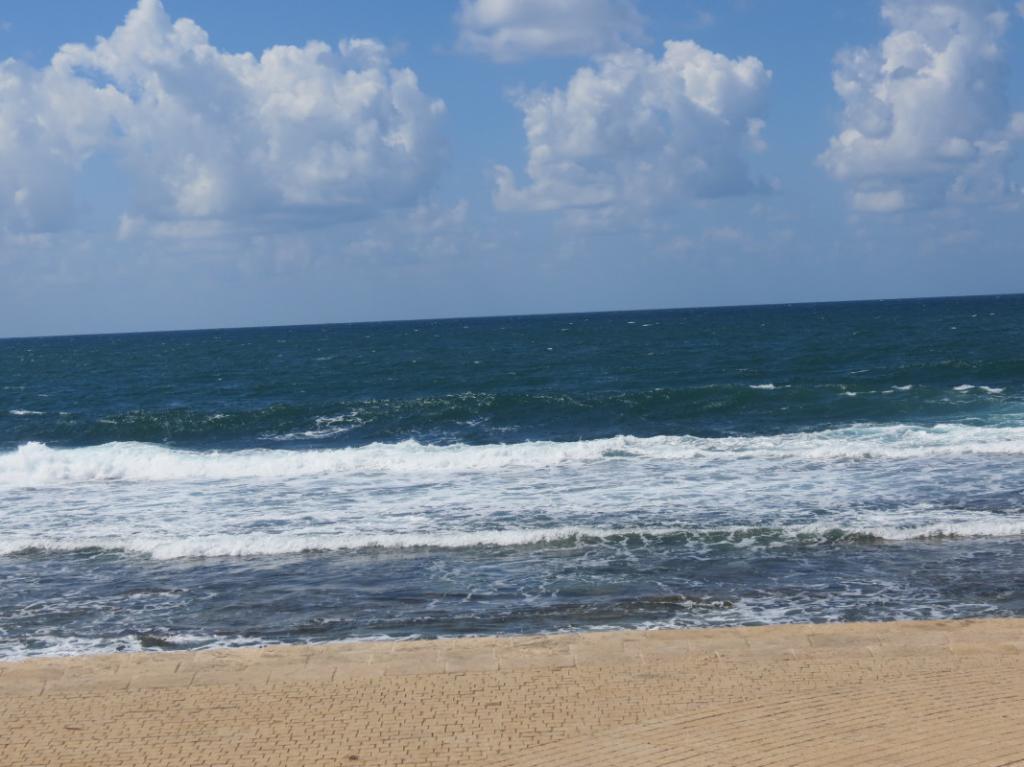 משפחה משפחה