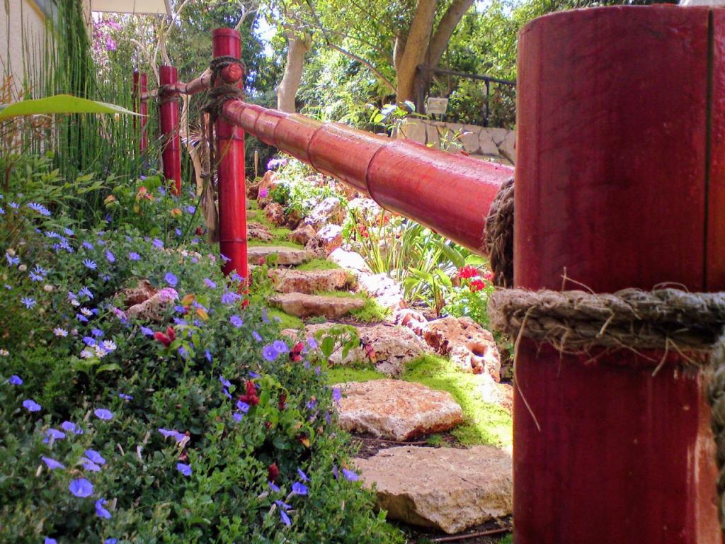 גינון ונוף רודה גינון ונוף רודה