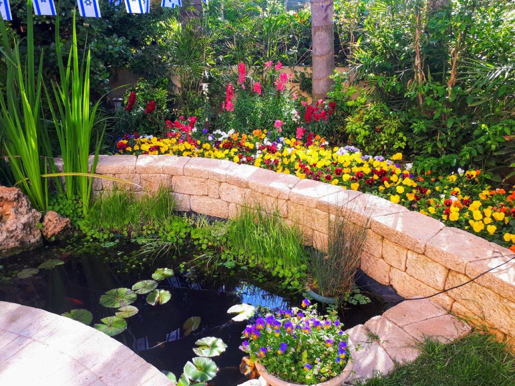 גינון ונוף רודה גינון ונוף רודה