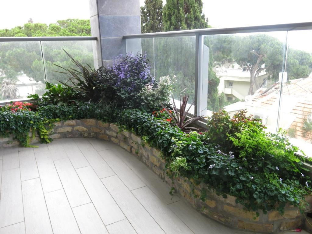 גינון ונוף רודה גינון ונוף רודה