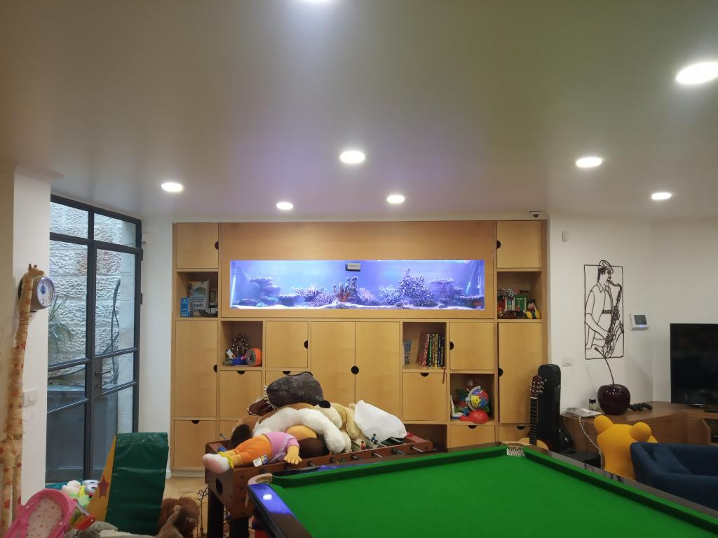 מועדון הכלבים מועדון הכלבים