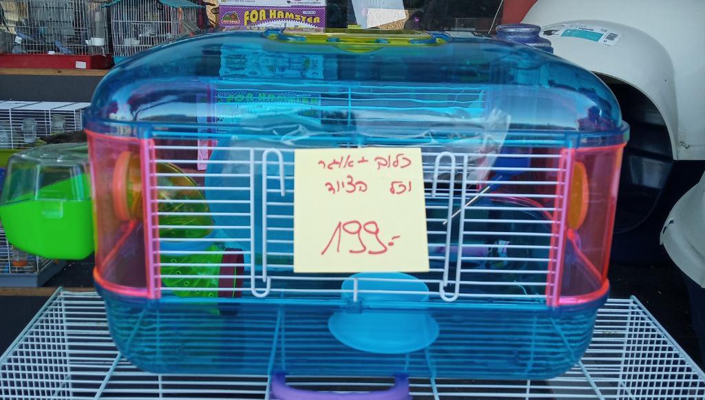 מועדון הכלבים מועדון הכלבים