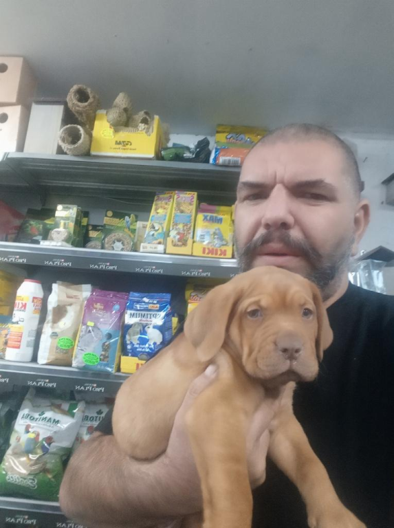 מועדון הכלבים מועדון הכלבים