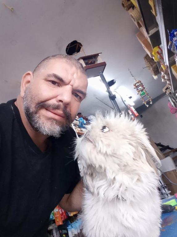 מועדון הכלבים מועדון הכלבים