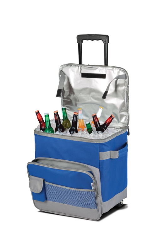 סוכנות הדי סוכנות הדי