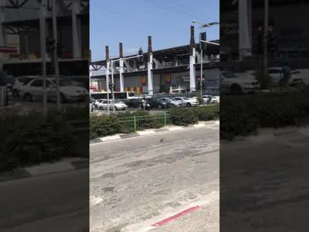 בייבי לאב בייבי לאב