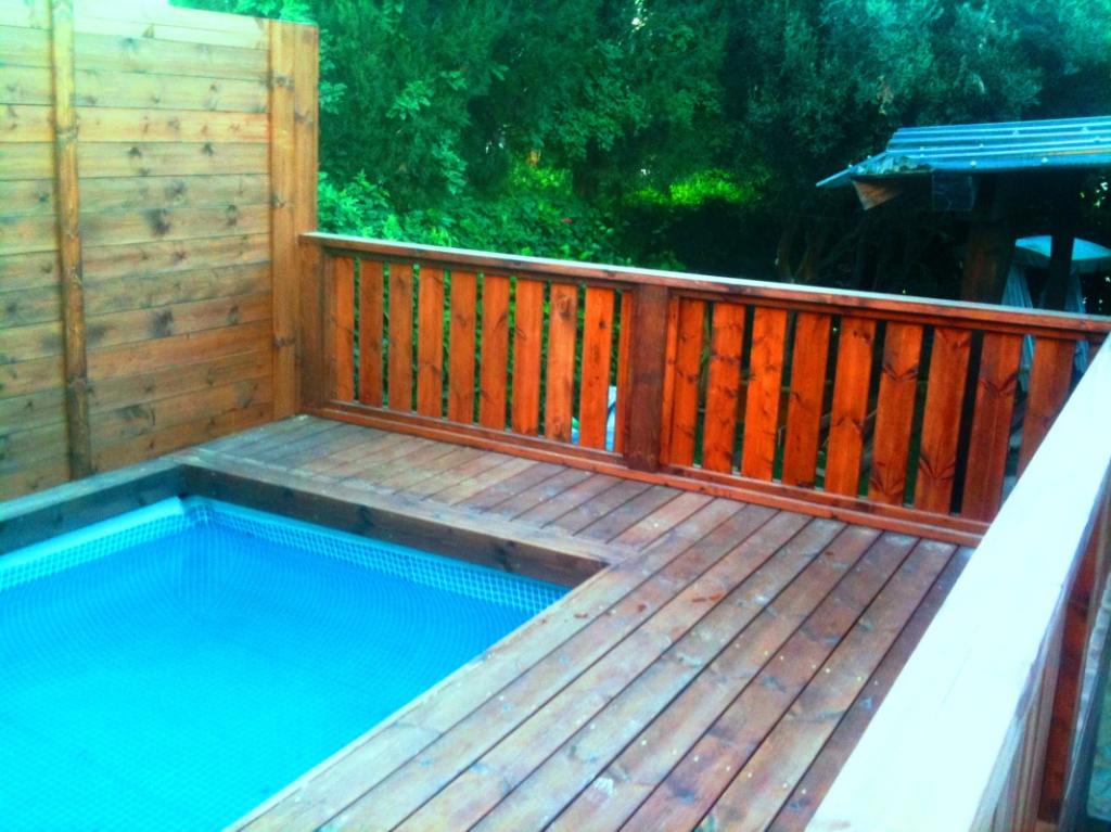 עץ השדה עץ השדה