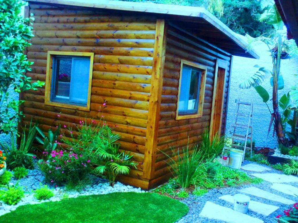 עץ השדה עץ השדה