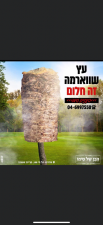 הבן של סימו