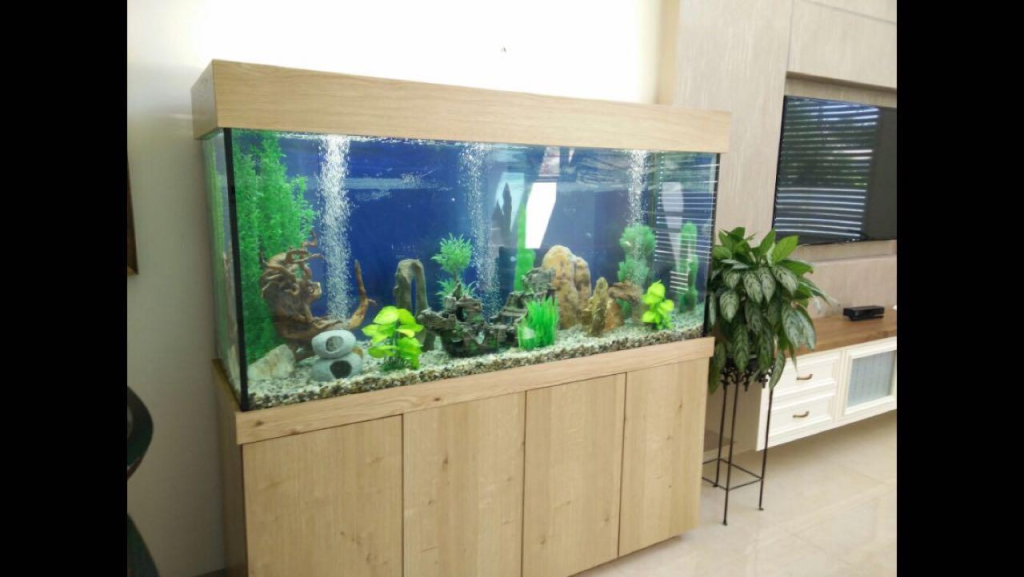 חוות דג הזהב חוות דג הזהב