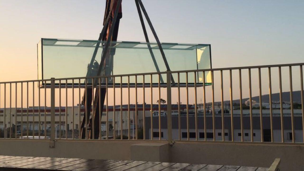 חוות דג הזהב חוות דג הזהב