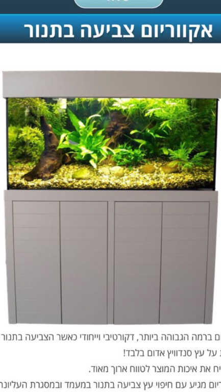 חוות דג הזהב חוות דג הזהב