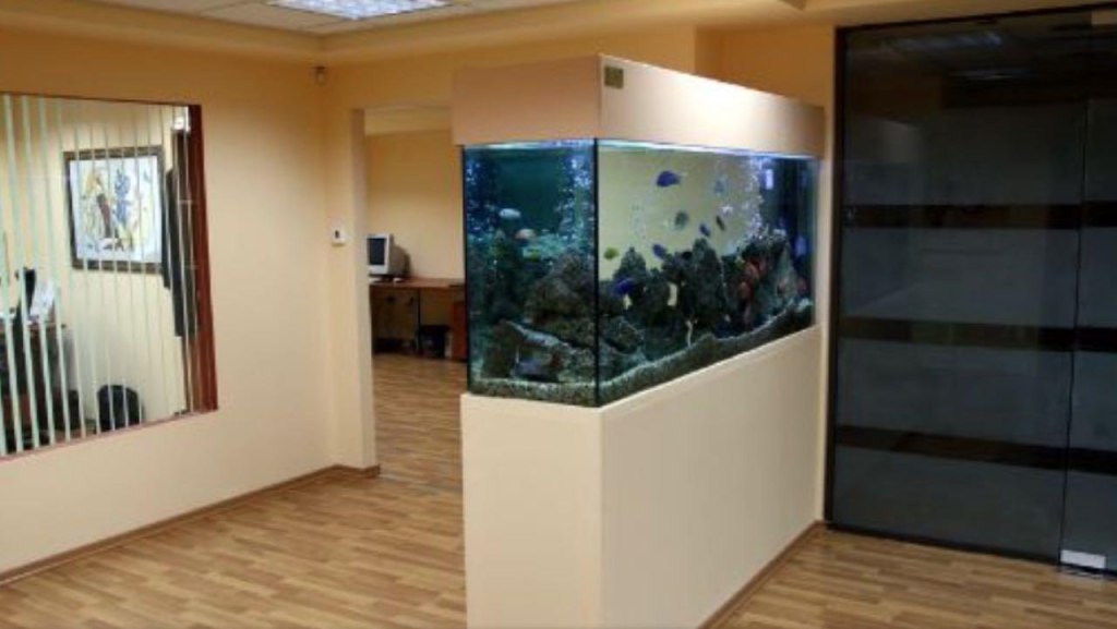 חוות דג הזהב חוות דג הזהב