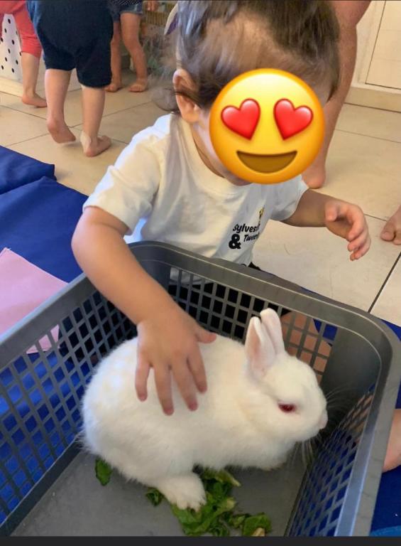 המשפחתון של כרמית המשפחתון של כרמית