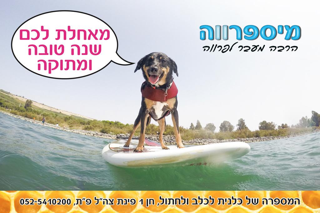 מיספרווה מיספרווה