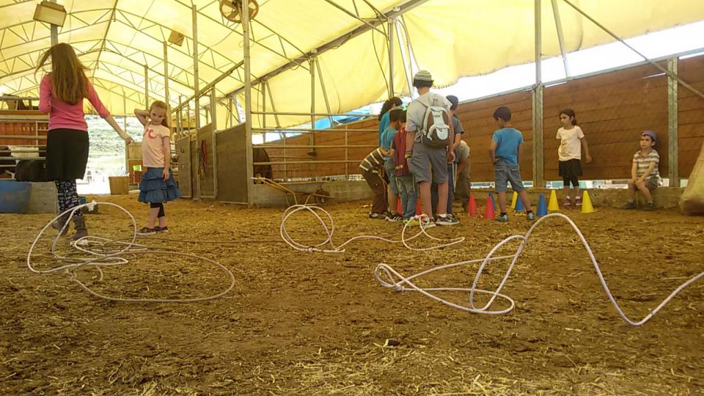 חוות קדומים מרכז אתגרי חוות קדומים מרכז אתגרי