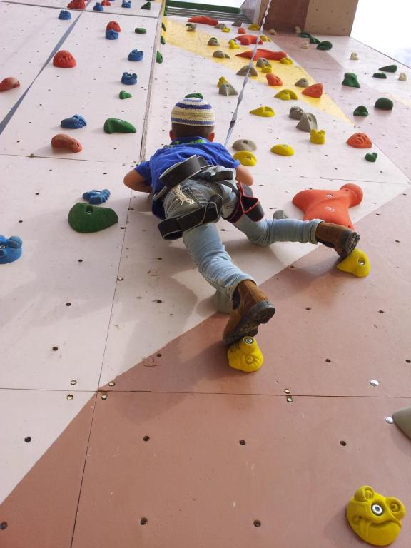 חוות קדומים מרכז אתגרי חוות קדומים מרכז אתגרי