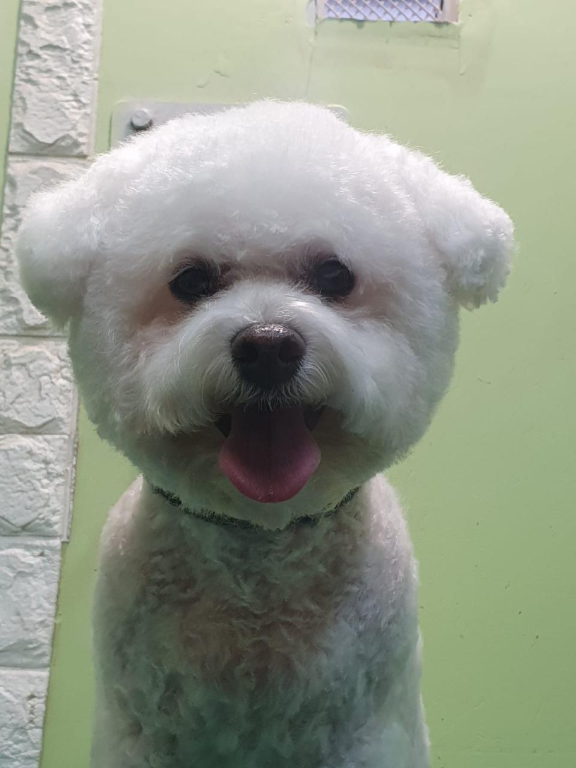 מיכאל ודין לחיות מיכאל ודין לחיות