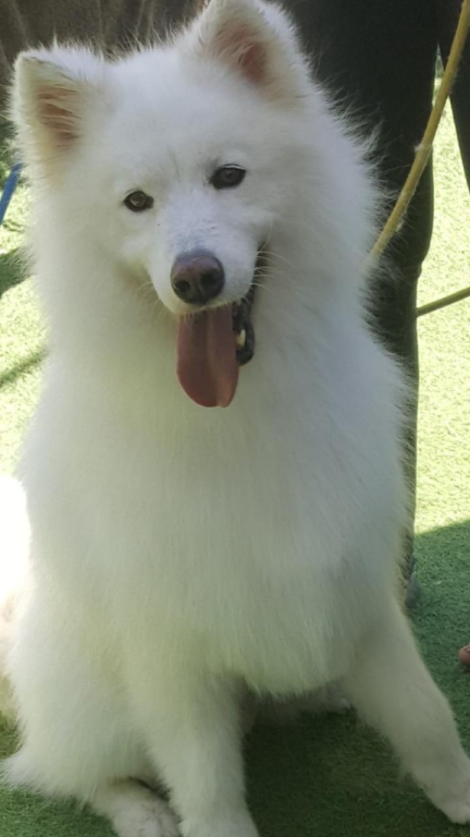 מיכאל ודין לחיות מיכאל ודין לחיות