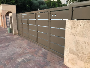 צבעונית אלי פנחס