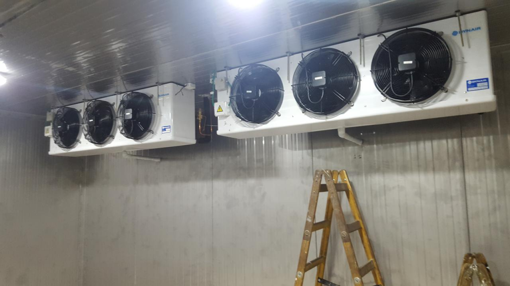 קירור דוד קירור דוד