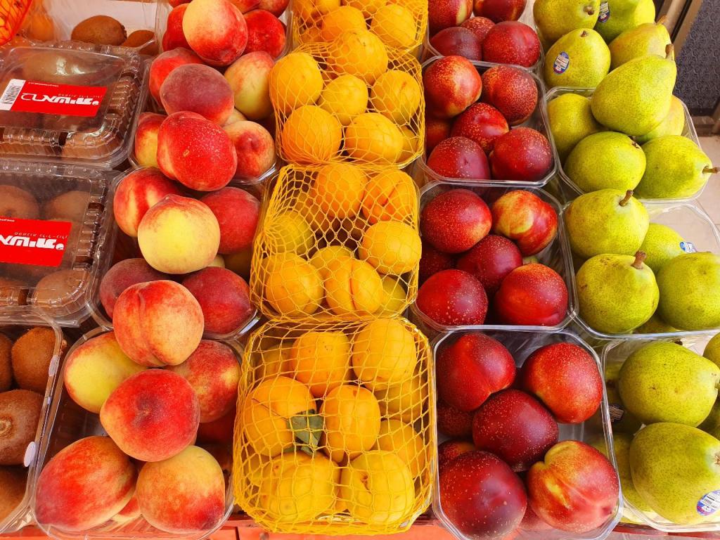 עדן פרי הארץ עדן פרי הארץ