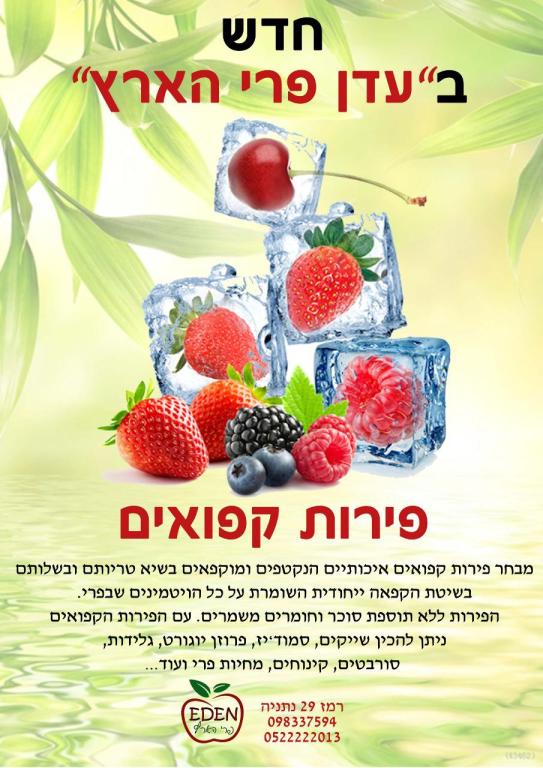 עדן פרי הארץ עדן פרי הארץ